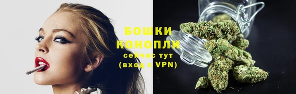 ГАЛЛЮЦИНОГЕННЫЕ ГРИБЫ Беломорск