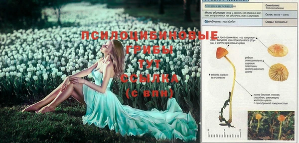 мет Балабаново